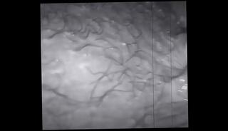 Video 824870435: amateur bbc threesome, black woman bbc, amateur ebony bbc, team pussy