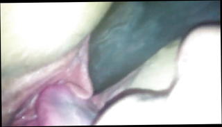 Video 1468127301: interracial bbc cuckold, bbc cum bukkake, interracial black cock bbc, amateur cuckold bbc, crossdresser bukkake, interracial bbc big, lesbian bukkake, bbc daddy cum, bbc gay cum, bear bukkake, military bbc, bukkake hd