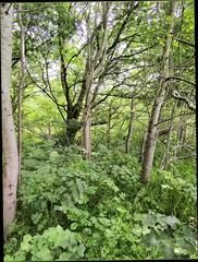 Video 1627618231: twink bareback uncut, gay bareback twink boy, twink bareback cum, bareback creampie cum, twink daddy bareback, hunk barebacks twink, uncut cock bareback, barebacks young twink gay, uncut big dick twink, bareback creampie ass, homemade twinks bareback, bareback creampie fuck, twink amateur bareback, twink first time bareback, bareback uncut latinos, twink barebacking outdoors, muscle twinks bareback, twink hot bareback, twink boy straight gay, bareback cum inside ass, bareback fucking tight ass, bareback guy cums, fucking man bareback, twink public cum, twink old gay man, british twink cums, twink boy jack, bareback married, delicious bareback, bareback car, bareback fantasies, bareback hd, horny sex