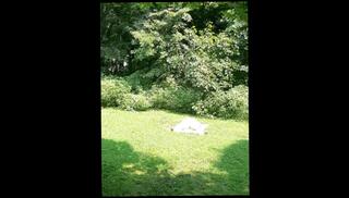 Video 1570322823: bbw amateur solo, bbw big ass solo, solo female bbw, big ass blonde bbw, tan bbw, bbw big natural, bbw outside