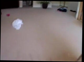 Video 230915901: deep throat blowjob facial, blowjob takes facial, deep throat straight, loves taking cock, cocks takes hot, cock hand