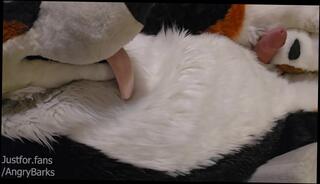 Video 1622965003: feet foot fetish toes, feet toes foot job, feet fetish solo, foot fetish gay boy, feet fucked foot job, toes feet cumshot, foot fetish masturbation, amateur foot fetish, cute feet toes, furry feet, male feet foot, fucked feet cum, fucked hard feet, solo self fucking, slut puppy