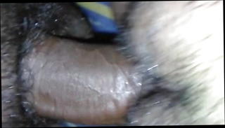 Video 1539716501: hairy femdom, hairy pussies straight, hairy american