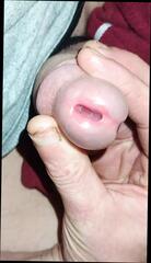 Video 1623838411: gay solo cumshot compilation, solo cum compilation, solo masturbation compilation, cum close solo, cum compilation hd, american compilation