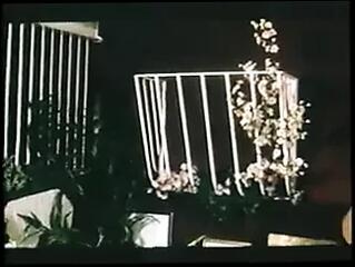 Video 71631101: vintage interracial sex, vintage french interracial, interracial sex cumshot, vintage group sex, vintage straight, extreme interracial