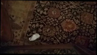 Video 1187326201: dildo hard dick, homemade solo, man gay, gay hd, anal