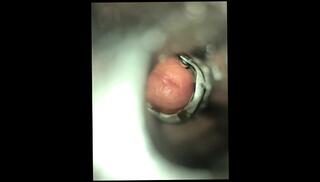 Video 1031765703: hairy solo cum, amateur hairy creampie, hairy cock solo, hairy solo gay, solo male fleshlight, hairy jock, hairy big cock cum, college jock cums, fleshlight fuck, gay latino jock, hairy cut cock