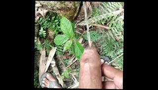 Video 1584969553: solo male piss, amateur solo pussy, big dick pissing, big cock pissing, solo man big dick, indian pussy solo, outdoor solo pussy