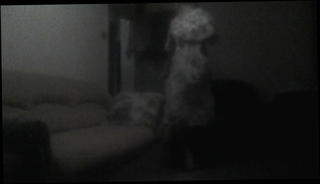 Video 1477507701: amateur shemale, slut dancing, stockings shemale, mature shemale, hd shemale