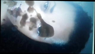 Video 1505837501: masturbate cum big dick, gay big dick cumming, dick cock cum, big black dick cum, big dick brazilian, black dick hd