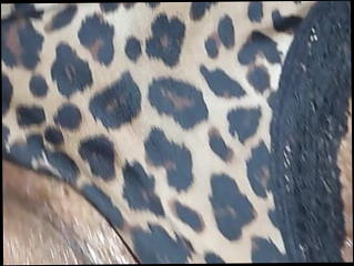 Video 1593011891: swinger wife bbc, granny bbc blowjob, husband wife share bbc, dirty talking wife bbc, big tit swinger wife, bbc wife cum, swinger couple sharing, swinger wife plays, black swinger couple, granny cum face, big nipple granny, big black dick bbc, bbc big cumshot, straight bbc, bbc jacking, natural swinger, african granny, swingers hd, husband came, wife time