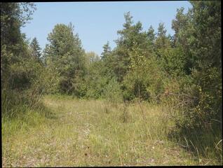 Video 198223201: naked ejaculating, gay orgasm, man orgasm, camera naked