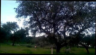 Video 1127170865: hairy solo gay, hairy bear solo, sexy gay porn solo, amateur solo gay porn, sexy horny hairy, hot solo gay porn, cute hairy amateur, hairy european amateur, young hairy amateur, sexy hairy big, hairy pornstar, solo porno, bearded hairy bears, hairy bearded guys, hairy outdoor