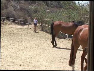 Video 14793704: legs vibrating