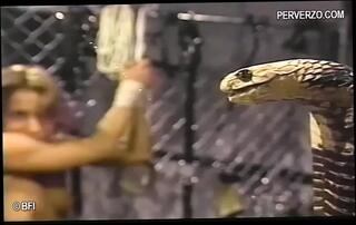 Video 1625624021: bdsm slave punishment, whipping bdsm bondage, bdsm milf slave, bondage domination bdsm, slave spanked whipped, slave ass whipped, sex slave whipping, bondage sub whipped, bdsm tied slave, whipped tormented, hogtied whipped, hot milf slave, dude whips, straight punished, torment pleasure, milf pleasures two, giant slave, hottest slave, slave huge, milf large, ass smacking, smack bitch