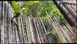 Video 1596195833: fetish lesbian babe, lesbian solo masturbation, horny amateur solo girl, tit lesbian horny babes, titted lesbian babe pussy, horny cute lesbians girl, young amateur lesbian girls, lesbian big boobs babes, horny old young lesbians, lesbian girls touching, horny latin lesbians, showering lesbian pussy, outdoor lesbian pussy, horny solo female, solo public masturbation, lesbians spied, big tits latin colombiana