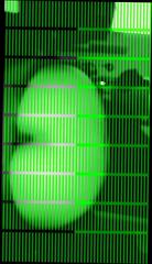 Video 322805001: bbw ass big butt, amateur bbw big ass, big ass ebony bbw, big black bbw ass, 18 year old bbw, bbw hd, big ass straight, dick bouncing