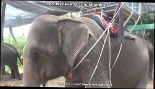 Watch the video about Blowjob as a punishment