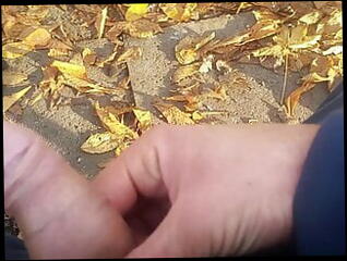 Video 1605339521: solo pee fetish, gay twink solo masturbation, solo twink wanking, big dick twink solo, solo twink boys, twink solo big cock, twink solo cum, fetish twink fucking, solo amateur twink, solo pee play, young twink solo, gay twink boy penis, gay hunk fucks twink, twink boy blowjob gay, gay man fucking twink, gay twink polish, dick european twink, gay twink public, gay twink hd, park pee, urinal