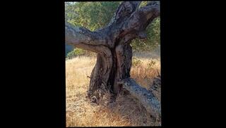 Video 1600248303: pissing peeing fetish, solo pee fetish, pissing squirt boy, teen piss solo, solo squirt amateur, solo male pee, squirting pissing big, boy penis pissing, piss boys cock, fetish dudes cock, solo boy dick, teen peeing outside, pissing boys public, pissing young boy, solo man big dick, old teen squirt, german teen solo