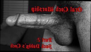 Video 1505441445: sissy cock worship, sissy cock cum, worships cock blowjob, gay cock worship, sissy gay porn, sissy masturbation cum, oral worship, penis worship, dick worship, sucking daddy's cock