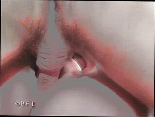 Video 1624195331: milf threesome sex, hot milf threesome, blonde milf threesome, milf blows big cock, babe threesome sex, big ass milf sex, dude threesome, european milf babe, big clit milf, milf big nipples, straight threesome, masturbation sex toy fuck, horny dude blows, sex toy orgasm, three horny dudes, one horny dude, smoking hot babe fucked, takes sex toy, anal drilled hard