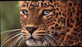 Video 1657385951: oil big booty twerk, big oiled ass twerk, big booty oiled shaking, booty dance twerk, big booty ebony twerking, big black booty twerking, model twerk, ebony big booty pov, model interracial, model stripper, model striptease, ass pov hd, models straight, oil teaser, ebony african model, model next