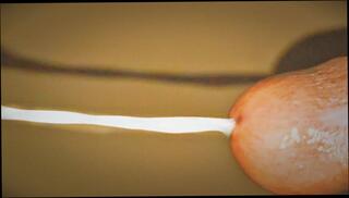 Video 1622949551: creampie orgasm cum, anal orgasm creampie, anal creampie porn, creampie gay porn, homemade anal creampie, creampie cum inside, anal creampie close, indian anal creampie, horny creampie, women creampie, creampie hd porn, handjob creampie, creampie girl, sensual creampie, creampie extreme