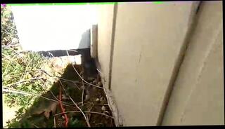 Video 192228295: caught masturbating pussy, caught toying, homemade caught, femdom masturbation, emo femdom, pussy clit masturbation