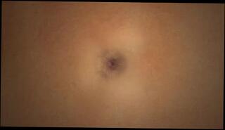 Video 248760501: girl gapes ass, gaping orgasm, gaping masturbating, gape close, orgasm straight, pulsating orgasm, austrian girl