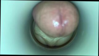 Video 348821101: masturbate cum cam, toy masturbation cum, cock cum toy, sex toy cam, cock big cum masturbation, amateur cam masturbation, gay sex man cocks, cum pie, old horny cocks, cock ejaculation, amateur masturbation hd, slow ejaculation, ejaculation close