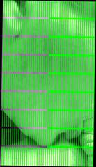 Video 346566701: grandpa gay porn, grandpas big ball, grandpa daddy bear, amateur grandpa, grandpa outdoors, man grandpa, gay porn hd