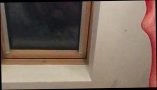 Video 1506930101: sissy crossdresser cock, gay sissy crossdresser, amateur sissy crossdresser, sissy crossdresser masturbates, sex toy sissy, small cock sissy, sissy webcam, sissy face, fat sissy, british sissy, gay sex hd