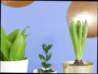 Video 1591388981: fetish amateur gay, fetish european, outdoor fetish, fetish hd, amateur latino gay, gay mexican