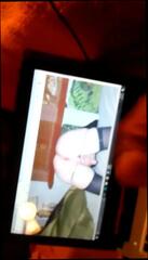 Video 343543701: amateur shemale cum, cum hd