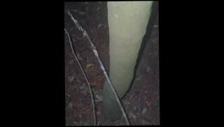 Video 1625492433: pissing peeing, solo male pee, bisexual piss, pee compilation, gay amateur bisexual, amateur mature solo, pissing hd, 60fps amateur