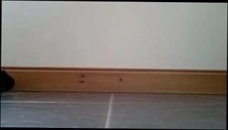 Video 104828701: white gay cums, horny cum, gay man cum, cum white panties