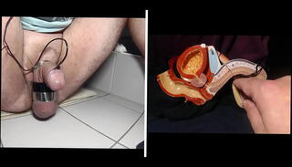 Video 1581721825: cbt bdsm, solo cbt, closeup solo, sex toys closeup, cock solo toyed, cock solo cumshot, sperm closeup, penis closeup, semen bdsm, cockring cumshot, solo ejaculation, electric cbt, precum closeup, stimulation solo