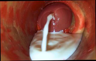 Video 1653911901: twink sissy femboy cum, crossdresser femboy sissy fucking, sissy femboy solo, gay bareback twink boy, ass femboy sissy gay, daddy fucks twink bareback, amateur teen sissy crossdresser, twink boy friends bareback, twink ass hole barebacked, sissy crossdresser cock, big ass femboy sissy, femboy sissy cumshots, sissy femboy masturbate, sissy femboy blowjob, grandpa fucked crossdresser, sissy crossdresser toying, twink old grandpa, indian sissy femboy, grandpa fucks teen pussy, old grandpa close cum, solo mastrubation, fucking bareback hd, twink cut, camera solo, pussy ejaculation, camera inside deep pussy