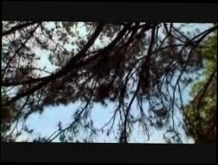 Watch the video about Black man cucks the hubby