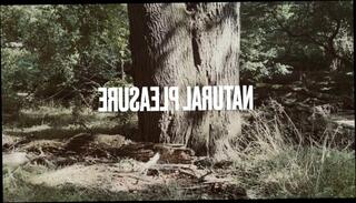 Video 1600100773: cock solo male masturbation, solo masturbation big dick, solo amateur masturbation, solo men masturbating, horny bbc, muscular solo, bbc outdoors