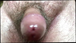 Video 1219502701: hairy cock balls, hairy balls gay, hairy cock stroke