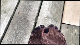 Video 1412084301: crossdresser nylon feet, hot nylon feet, gay sexy feet, sexy feet amateur, nylon hd