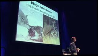 Video 84583601: masturbation porn, girl porn, porn straight, porn experience, great porn, porn talk