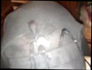 Watch the video about Niqab Egyptian Muslim bitch humiliated