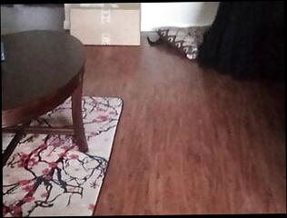 Video 1585161261: fetish gay solo masturbation, crossdresser solo masturbation, amateur crossdresser solo, skinny crossdresser, crossdresser creampie, white solo masturbation, young skinny gay, solo masturbation hd, crossdresser dress, american crossdresser, pretty girl cums