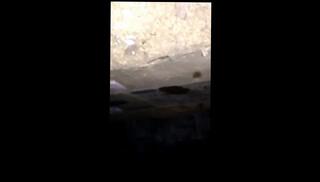 Video 1631567233: johnny sins, double penetration gang bang, creampie gang bang, amateur wife gang bang, horny stepsister caught, big dick gang bang, gang bang mom, caught fucking stepsister, pussy gang bang, gang banged babes, gang bang sex, double orgasm creampie, perfect gang bang, gang bang fantasy, stepsister banged hard, rough gang bang, college gang bang, creampie fuck licking pussy, cheating wife caught fucking, caught fucking step mom, dirty double penetration, pornstar double penetration, stepsister dirty talk, pink pussy banged hard, double penetration shared, caught fucking babysitter, stepsister jerking, stepsister share bed, banged hard fast, stepsister behind