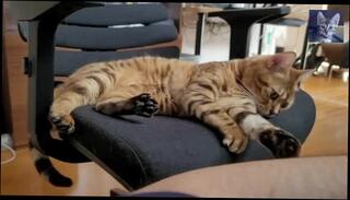 Video 1580711653: lesbian squirt compilation, lesbian squirt bukkake, lesbian pussy licking compilation, massage lesbian pussy licking, hairy lesbian pussy licking, squirting orgasm compilation, anal squirt compilation, squirting masturbation compilation, lesbian toys squirt, softcore compilation, hentai compilation, romantic lesbian pussy