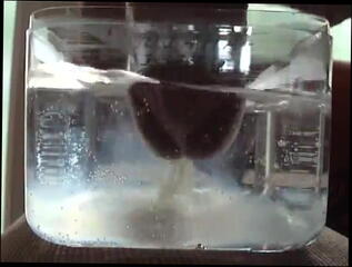 Video 23532201: gonzo, gay man cum, cum shot, share cum, lady