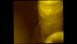 Video 470383155: solo cock massage, femdom massage, solo girl masturbating pussy, girl friend solo masturbation, fucking girl massage, college girl solo masturbation, pussy massage dick, solo boy fucking, girl friend masterbating